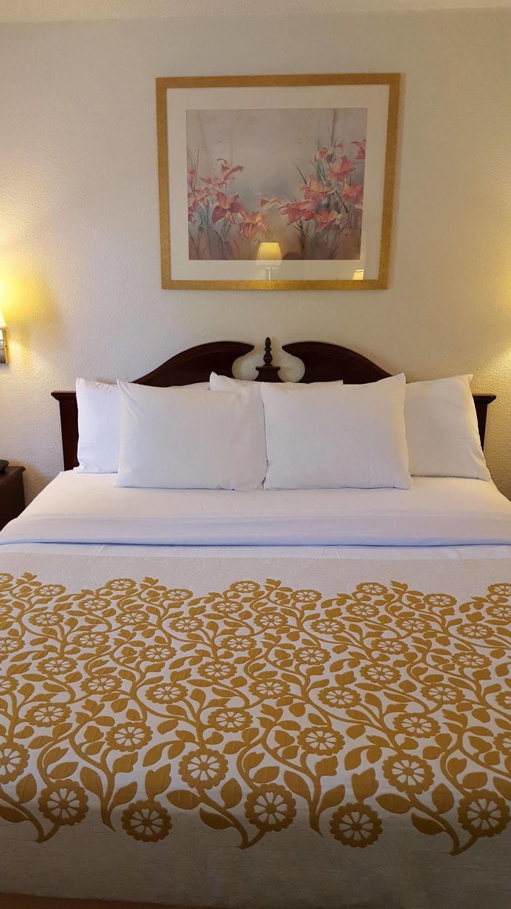 Econo Lodge Cherry Point Havelock Extérieur photo